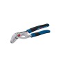 Bosch Πένσα Αντλίας Νερού 250mm
