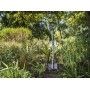 Gardena Πατοφτυαρο Με Τηλεσκοπικο Κονταρι (17020-20) Gardena - 3