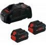 Bosch 2 X Procore18V 5.5Ah & Gal 1880 Cv 1600A0214C Bosch - 1